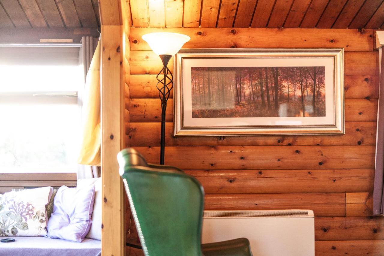 Log Cabin Nestled In The Mountains Of Snowdonia By Seren Property Trawsfynydd Eksteriør bilde